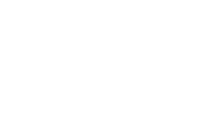 Deep Inside since 1996